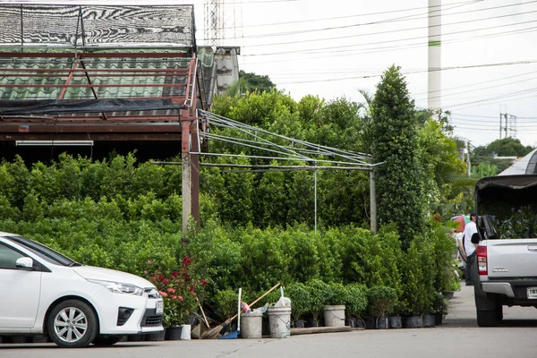 Chiangmai, Tayland - 13 Temmuz 2018: Kam Tieng ağaç Pazar. Büyük ağaç Market Chiangmai City.