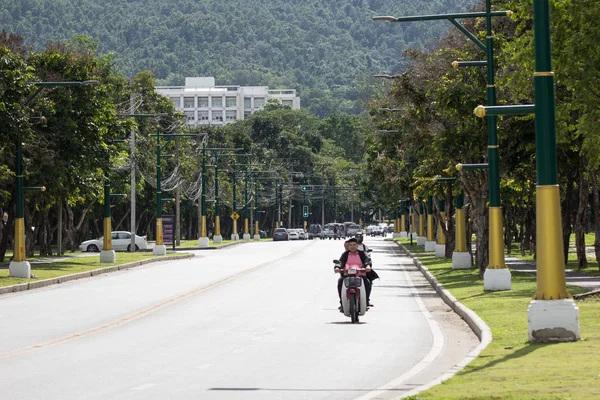 Chiangmai Tailandia Julio 2018 Camino Verde Universidad Chiangmai — Foto de Stock