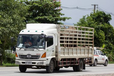 Chiangmai, Tayland - 13 Temmuz 2018: Özel Hino kargo kamyon fil taşı. Fotoğrafa yol no.1001 8 km şehir merkezine Chiangmai, Tayland.
