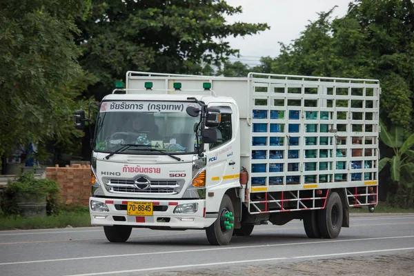 Chiangmai Tajlandia 2018 Sierpnia Prywatne Hino Cargo Ciężarówka Zdjęcie Drodze — Zdjęcie stockowe