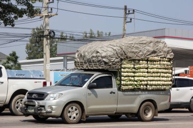 Chiangmai, Tayland - 5 Ekim 2018: Özel Toyota Hilux Vigo kamyonet. Yol no.1001 Chiangmai şehir merkezine 8 km.