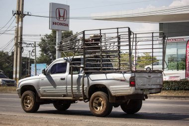 Chiangmai, Tayland - 3 Aralık 2018: Özel Toyota Hilux kaplan kamyonet. Yol no.1001 Chiangmai şehir merkezine 8 km.