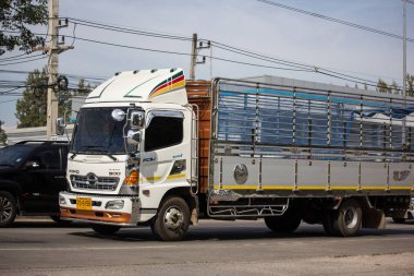 Chiangmai, Tayland - 3 Ocak 2019: Özel Hino kargo kamyon. Fotoğrafa yol no.1001 8 km şehir merkezine Chiangmai, Tayland.