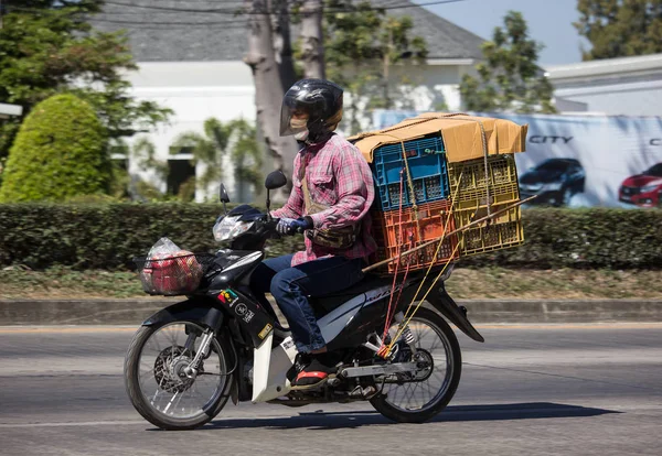 Chiangmai Tajlandia 2019 Lutego Prywatne Honda Wave Motocykl Drodze 1001 — Zdjęcie stockowe