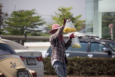 Adam Satılık Mango meyve yol kavşak üzerinde