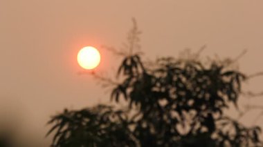 Güneşin dumanı ve kirliliği Chiangmai gökyüzünün sisi