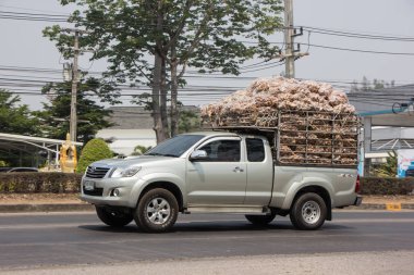 Özel Toyota Hilux Vigo kamyonet. 