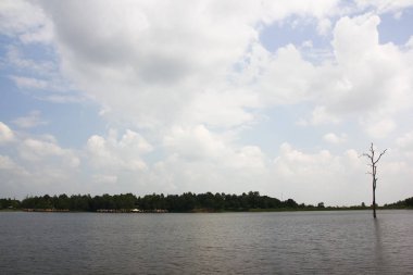 Bulutlu günde rezervuarbir ölüm ağacı