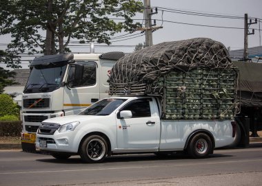 Özel Isuzu Dmax kamyonet. 