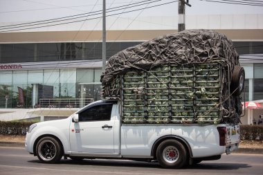 Özel Isuzu Dmax kamyonet. 