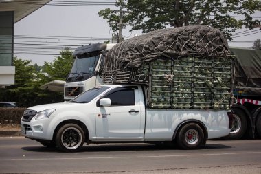 Özel Isuzu Dmax kamyonet. 