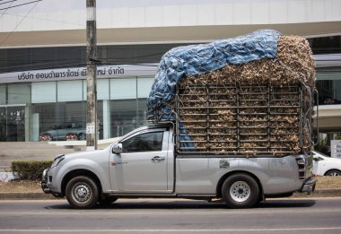 Özel Isuzu Dmax kamyonet. 