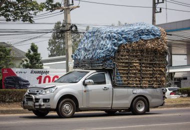 Özel Isuzu Dmax kamyonet. 