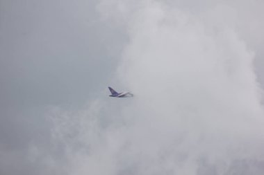 Boeing 777-200, Tayland Hava yolu. 