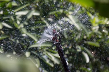 Su fıskiyesini kapat. 