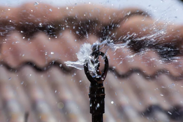 Zavřete zavlažovač vody v provozu — Stock fotografie