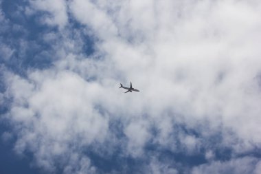  Boeing 737-900er Tay aslan hava havayolu şirketi.