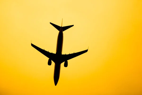 Boeing 737-900 da companhia aérea Thai Leão Air . — Fotografia de Stock