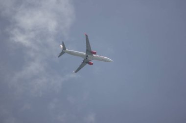 Boeing 737-900 Tay aslan Air havayolu. 