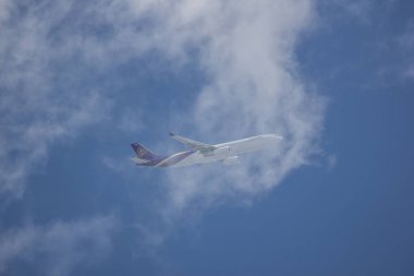 Airbus A330-300 Tay havayolu havayolu şirketi