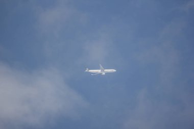 Airbus A330-300 Tay havayolu havayolu şirketi