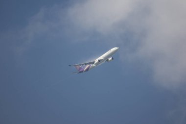 Airbus A330-300 Tay havayolu havayolu şirketi