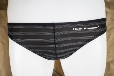 Chiangmai, Tayland - 8 Ocak 2020: 