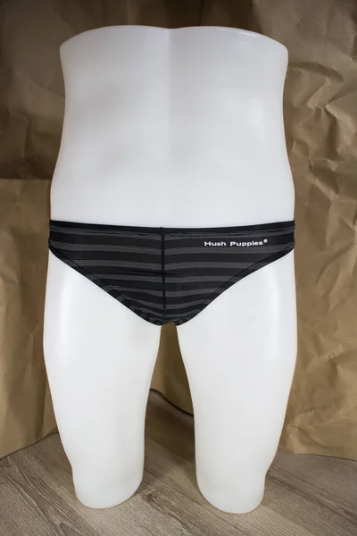 Chiangmai Thailand August 2020 Produktaufnahme Von Hush Welpen Innerwear Unterwäsche — Stockfoto