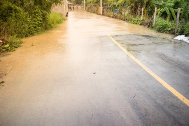 Muson depresyonundan asfalt yolu taşmış.