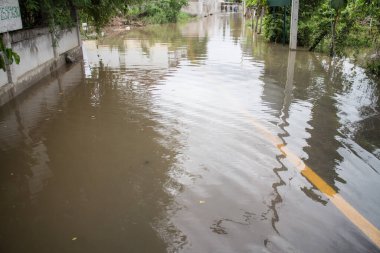 Muson depresyonundan asfalt yolu taşmış.