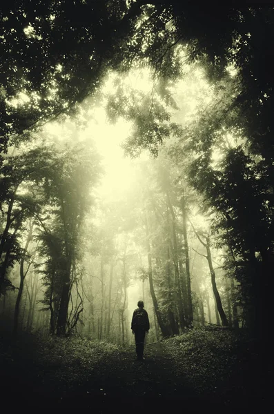 Σουρεαλιστικό Σκοτεινό Δάσος Ζοφερό Τοπίο Περπάτημα Άνθρωπος Στο Δασικό Δρόμο — Φωτογραφία Αρχείου