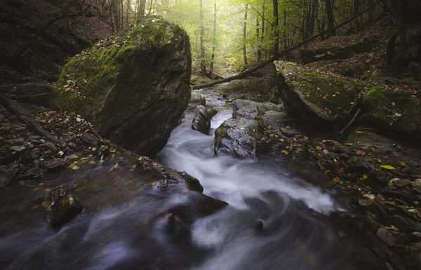森林河流流经岩石 荒野景观 — 图库照片