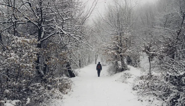 Man Lopen Besneeuwde Pad Winter Woud Landschap — Stockfoto