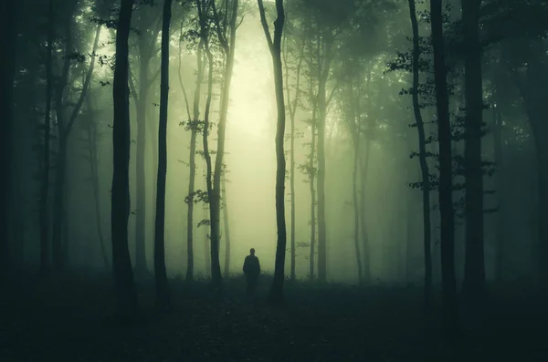 Eng Spookachtige Figuur Mysterieuze Donkere Bos Bij Nacht — Stockfoto