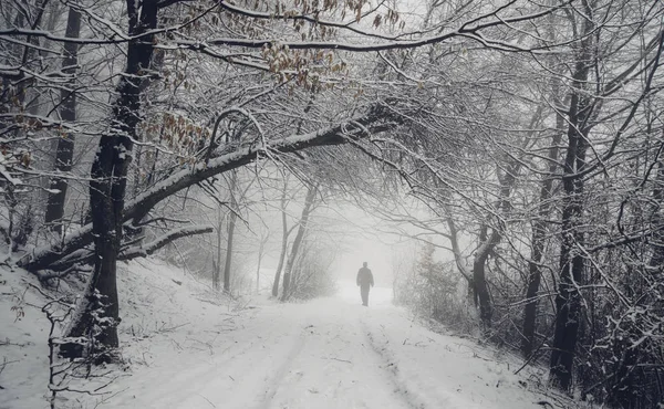 幻想的树林在冬天 男人走在雪山林路上 — 图库照片