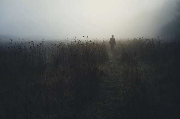 霧と雨の朝風景自然の中歩く — ストック写真