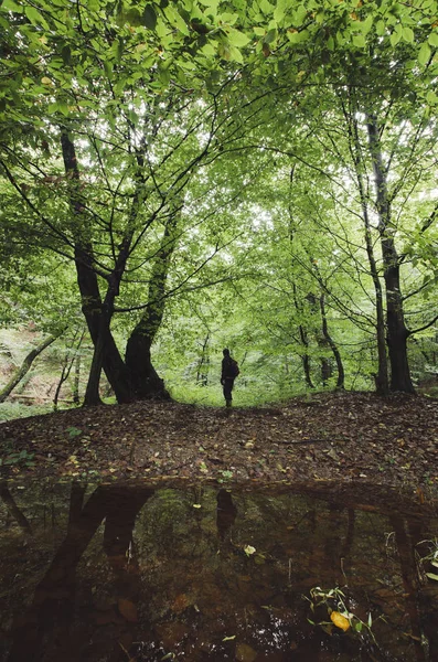 Forêt Homme Réfléchissant Dans Eau Naturel Vert Bois Paysage — Photo