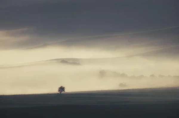 Hills Covered Fog Morning Landscape — Stock Photo, Image