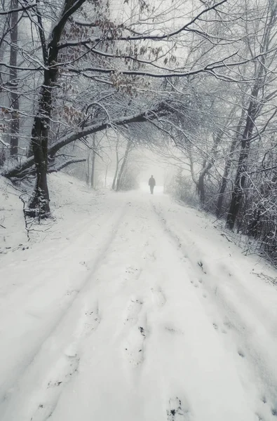 冬季景观与人走在雪山林路上 — 图库照片