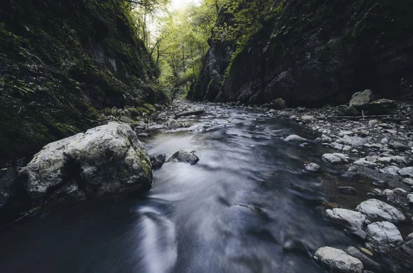 Torrente Foresta Nel Canyon Naturale Con Scogliere Alberi — Foto Stock