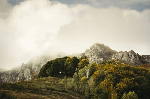 Paisaje Nublado Otoño Pico Montaña Niebla Árboles Con Follaje Vívido —  Fotos de Stock