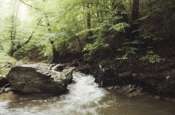 Krajobraz dziczy. Woda w lesie Rzeka krajobrazy naturalne — Zdjęcie stockowe