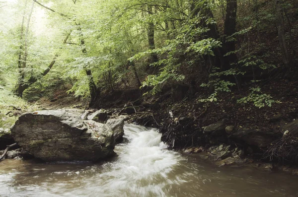 Paysage sauvage. Eau dans la forêt rivière paysages naturels — Photo