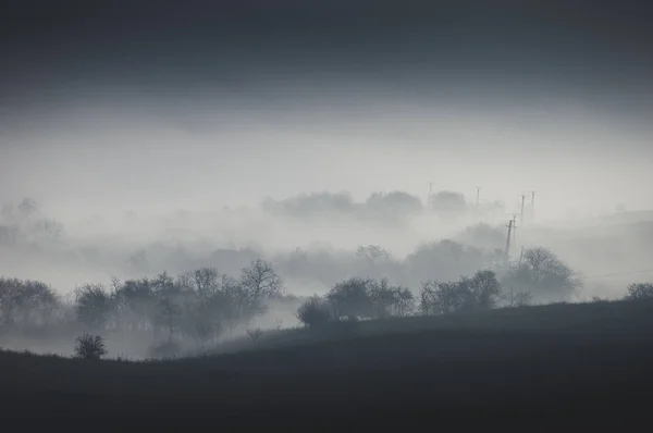 Sötét ködös táj dombokkal és fákkal — Stock Fotó