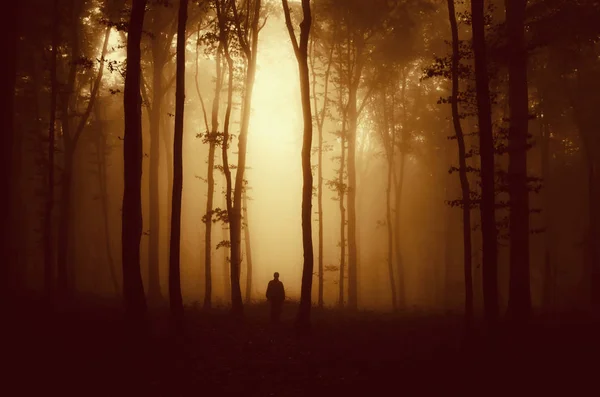Geheimnisvolle Gestalt im finsteren dunklen Wald bei Sonnenuntergang — Stockfoto
