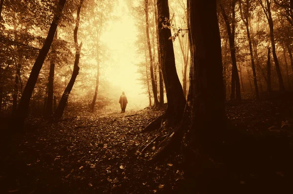 Gruselige Silhouette im surrealen dunklen Wald bei Sonnenuntergang — Stockfoto