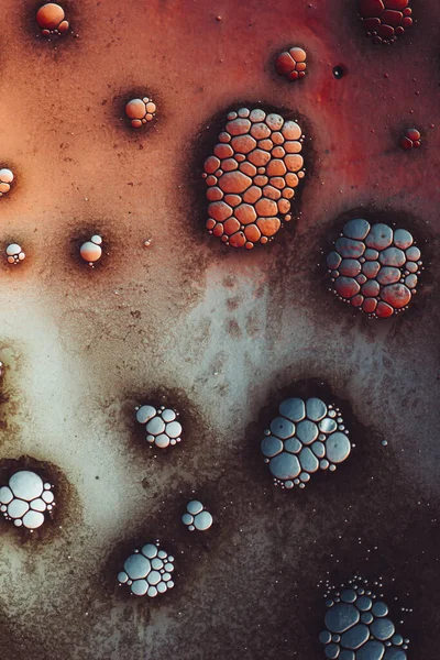 Soyut Bilim Arkaplanı Hücre Dokusu Deseni — Stok fotoğraf