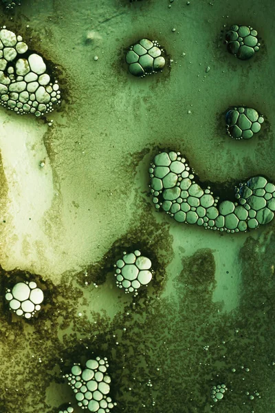 Abstrakte Wissenschaft Hintergrund Zellen Textur Muster Grün Stockbild