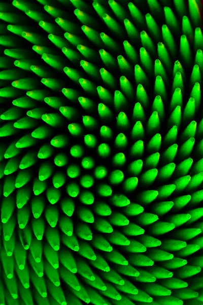 Zelená Abstraktní Psychedelická Textura Makro Fotografie Stock Obrázky