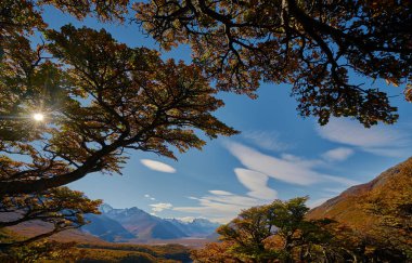 Sonbahar ağaçlar, bulutlu gökyüzü ve dağlarda Milli Park Los Glaciares Milli Parkı kar manzara. Sonbaharda Arjantinli Patagonya.